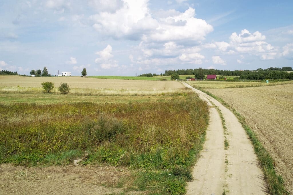 Lietuvos laukų vaizdai .ELTA / Dainius Labutis