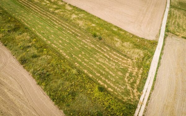 Nacionalinė žemės tarnyba: ūkininkai masiškai siekia išsipirkti valstybės plotus, sandoriai – milijoniniai