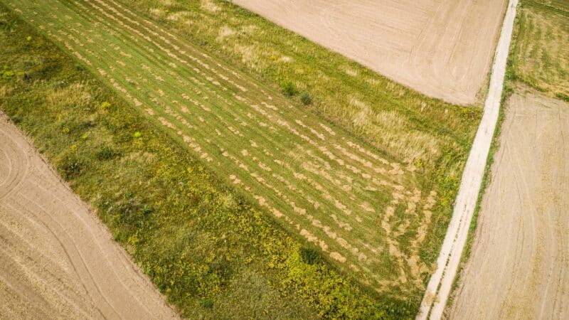 Nacionalinė žemės tarnyba: ūkininkai masiškai siekia išsipirkti valstybės plotus, sandoriai – milijoniniai