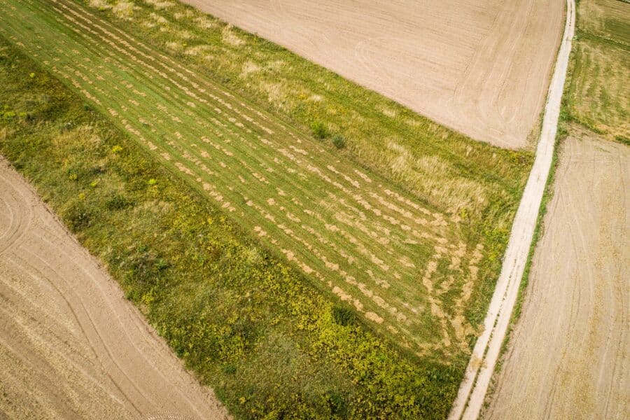 Lietuvos laukų vaizdai .ELTA / Dainius Labutis