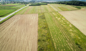 Lietuvos laukų vaizdai .ELTA / Dainius Labutis