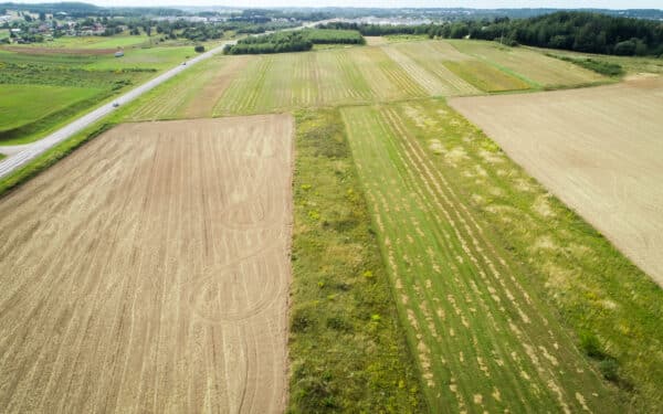 Valstybinė žemė šluojama iš aukcionų: kainos šoktelėjo kelis kartus