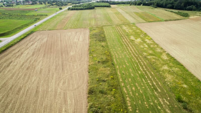 Valstybinė žemė šluojama iš aukcionų: kainos šoktelėjo kelis kartus