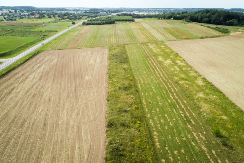 Lietuvos laukų vaizdai .ELTA / Dainius Labutis