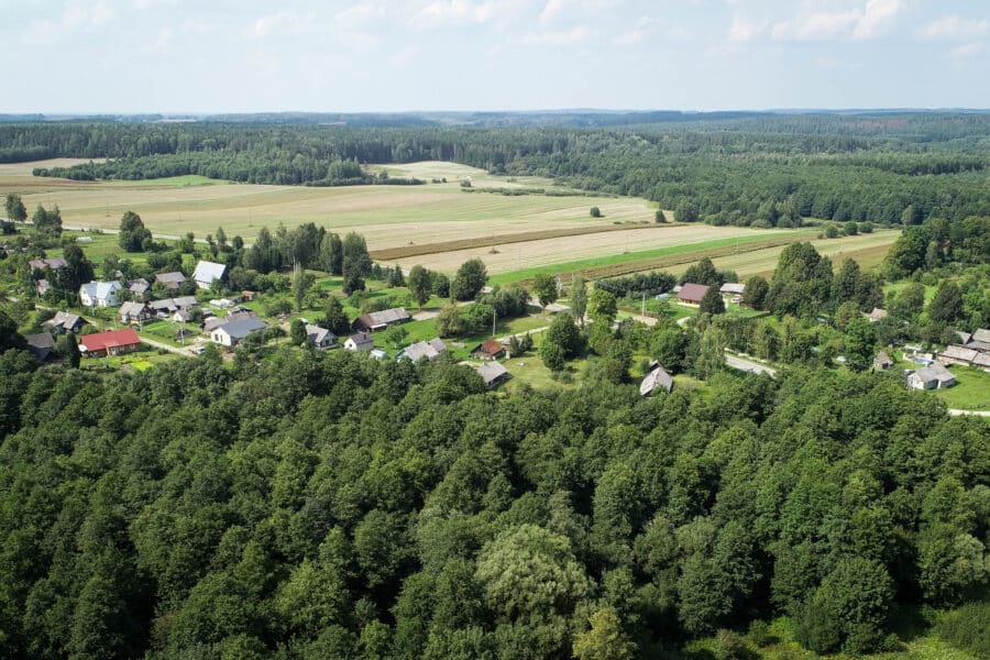 Kaimelis.ELTA / Dainius Labutis