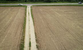 Lietuvos laukų vaizdai .ELTA / Dainius Labutis