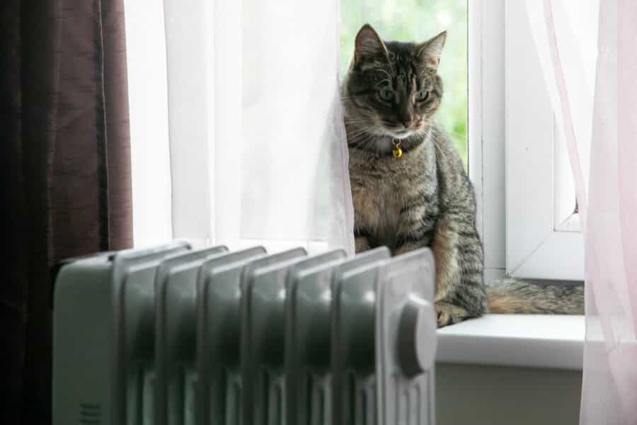 Šildymo sezonas. ELTA / Dainius Labutis