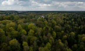 Sužaliavęs Vilnius. ELTA / Josvydas Elinskas