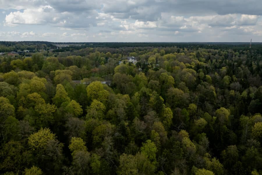 Sužaliavęs Vilnius. ELTA / Josvydas Elinskas