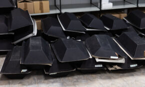 Leipalingyje rastų partizanų palaikai. ELTA / Dainius Labutis