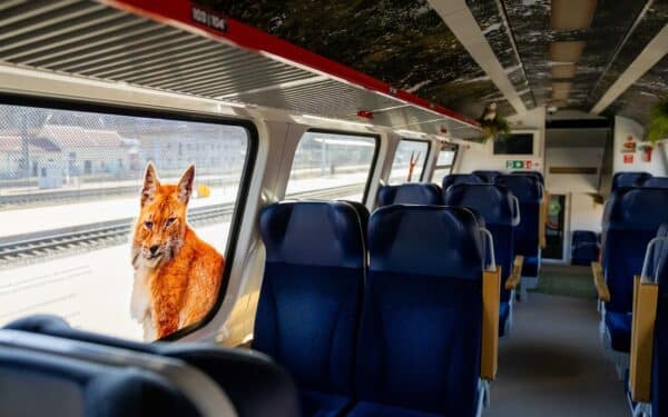 „LTG Link“ atpiginti bilietai pakeitė viską: traukinių keleivių padaugėjo 30 proc., autobusų įmonės skaičiuoja nuostolius