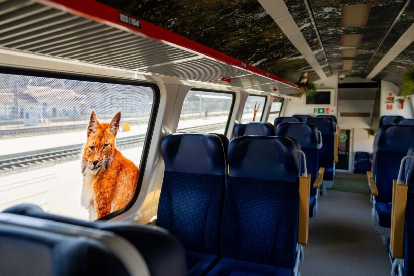 Lietuvos geležinkeliai pristatė Miško traukinį. ELTA / Žygimantas Gedvila