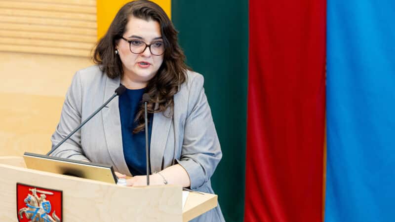 Auditas atskleidė skaudžią tiesą: Lietuvoje – dar viena gilėjanti ir sprendimo neturinti problema