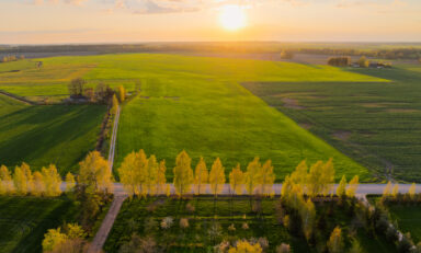 Laukai. ELTA / Andrius Ufartas