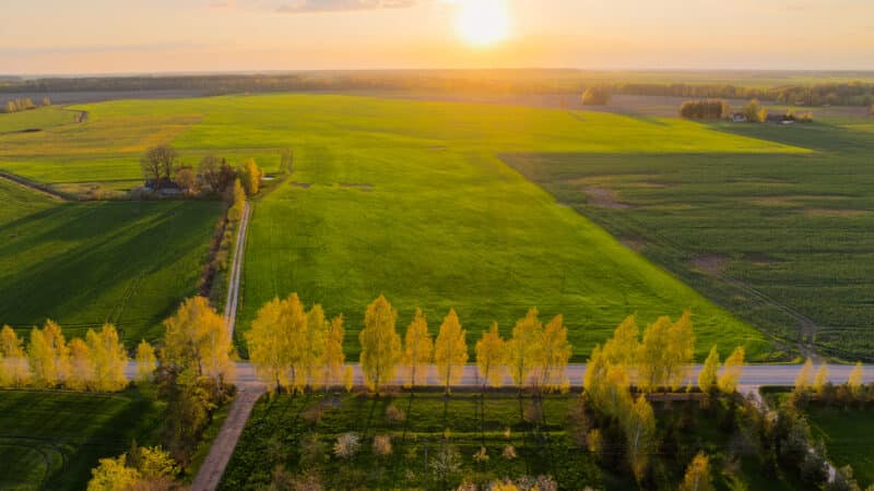 Karas Irane smogė ir Lietuvos ūkiams: trąšų kainos šoktelėjo iki 70 proc., dalis ūkių priversti keisti planus