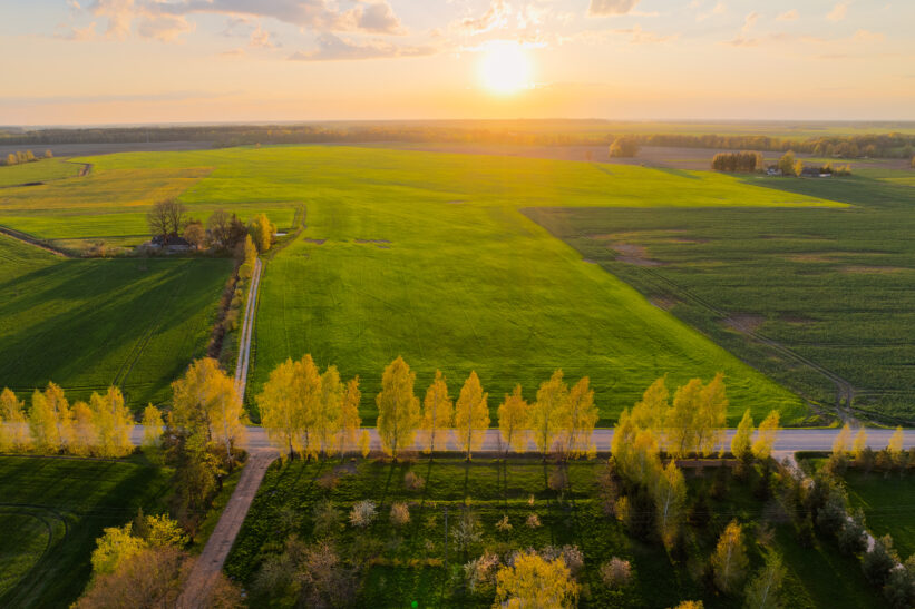 Laukai. ELTA / Andrius Ufartas