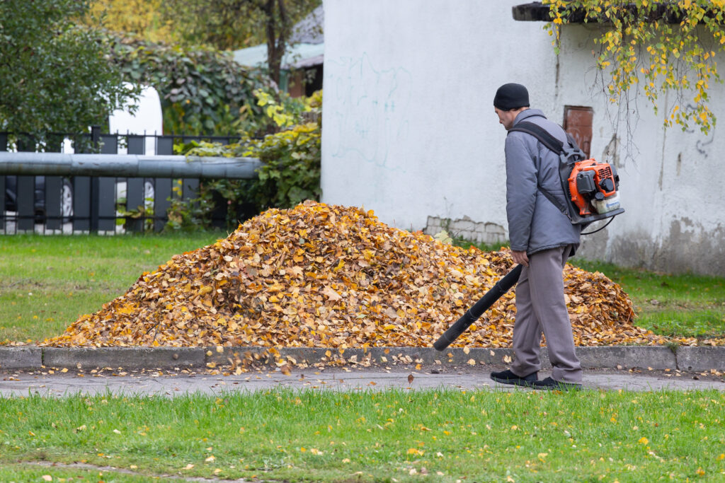 Ruduo. ELTA / Andrius Ufartas