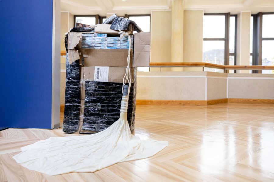 Kontrabandinis balionas su rūkalais. ELTA / Žygimantas Gedvila