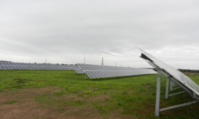 Medicinos bankas finansuoja saulės elektrinės projektus. Eltos nuotr.