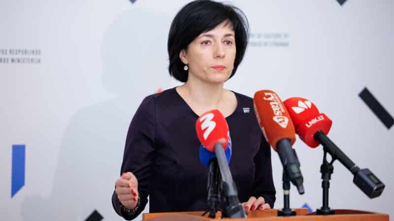 Dėl viceministro – tyrimas: ministrė teigia, kad Drukteinis įstaigoje nedirbo