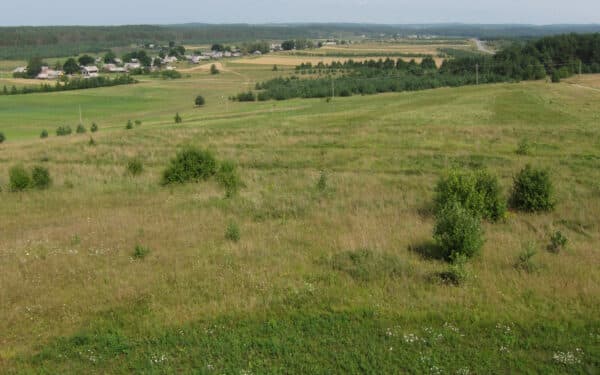 Pokyčiai ūkiams: ŽŪM plečia paramą, kompensacijomis galės pasinaudoti ir daugiau gavėjų
