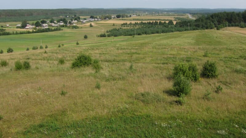 Pokyčiai ūkiams: ŽŪM plečia paramą, kompensacijomis galės pasinaudoti ir daugiau gavėjų