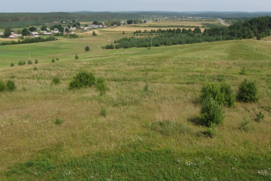 Lietuvos laukų peizažas. Romos Balsienės (ELTA) nuotr.