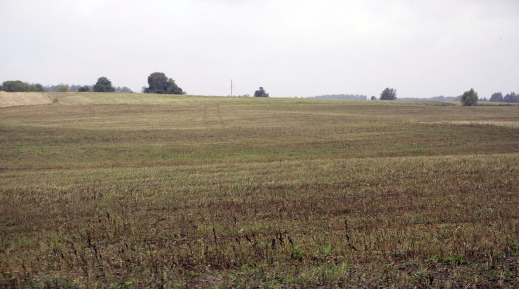 Lietuvos laukų peizažas rudenį. Gedimino Savickio (ELTA) nuotr.