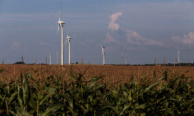 Susidomėjimas vėjo energija kasmet vis didėja. Gedimino Bartuškos (ELTA) nuotr.