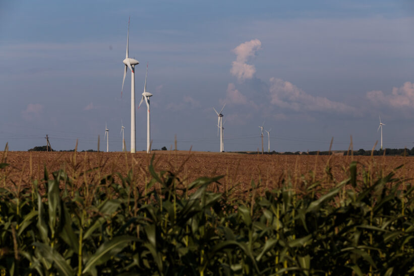 Susidomėjimas vėjo energija kasmet vis didėja. Gedimino Bartuškos (ELTA) nuotr.