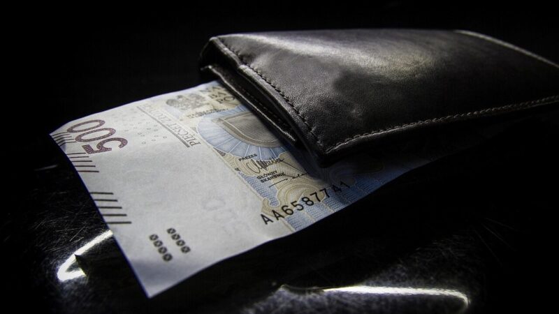 Lenkijos Seimas vienbalsiai atmetė 540 eurų bazinių pajamų idėją – valstybės biudžetas neatlaikytų