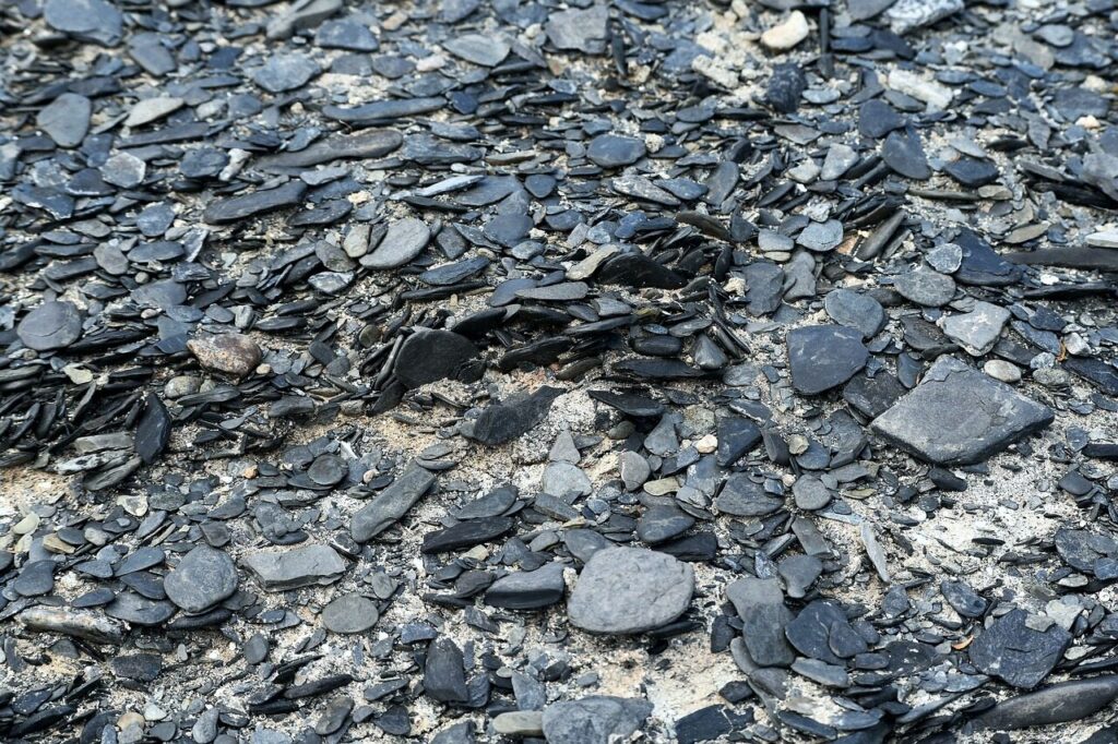 Skalūnas. Pixabay nuotr.