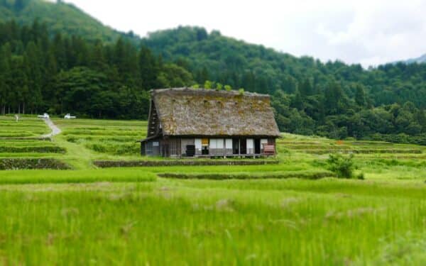 Gražus vaizdas, bet pavojinga realybė: visa tiesa apie namus kaime