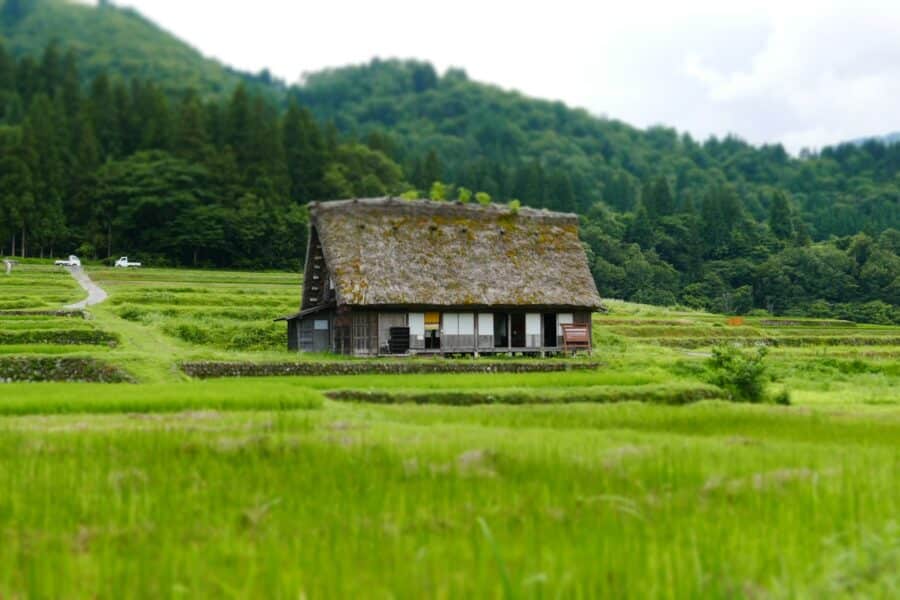 Namas. Unsplash nuotr.