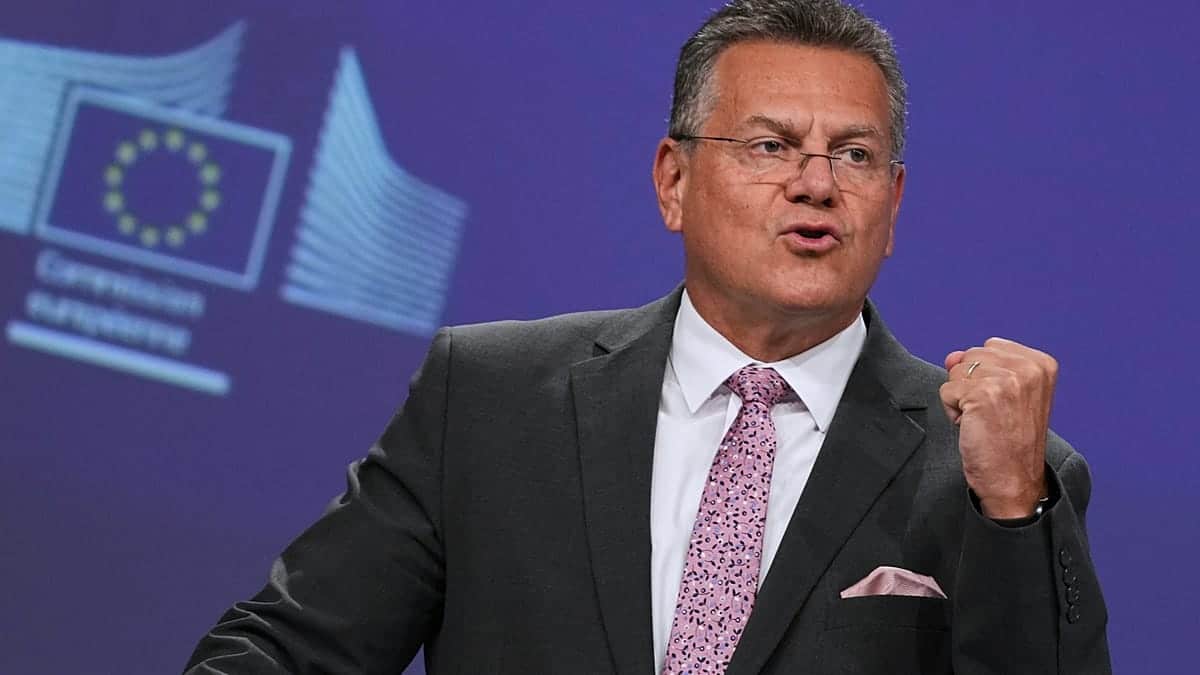 ES komisaras: prekybos deficitas su Kinija tapo nebetvarus, todėl ginsime savo rinką