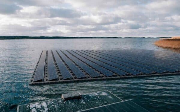 Netikėtas reiškinys: plūduriuojanti saulės elektrinė virto gyvybės slėptuve po vandeniu