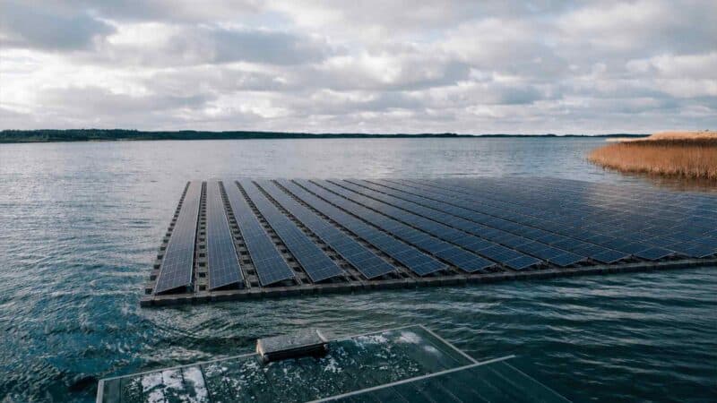 Netikėtas reiškinys: plūduriuojanti saulės elektrinė virto gyvybės slėptuve po vandeniu