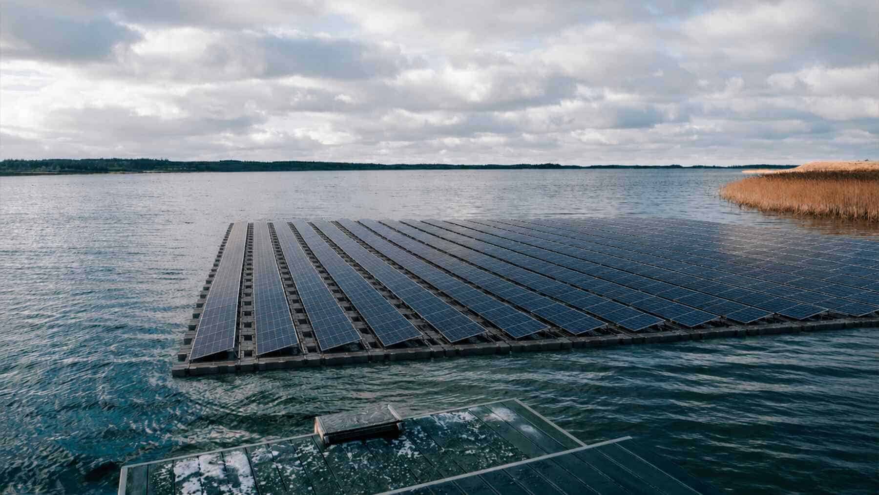 Netikėtas reiškinys: plūduriuojanti saulės elektrinė virto gyvybės slėptuve po vandeniu