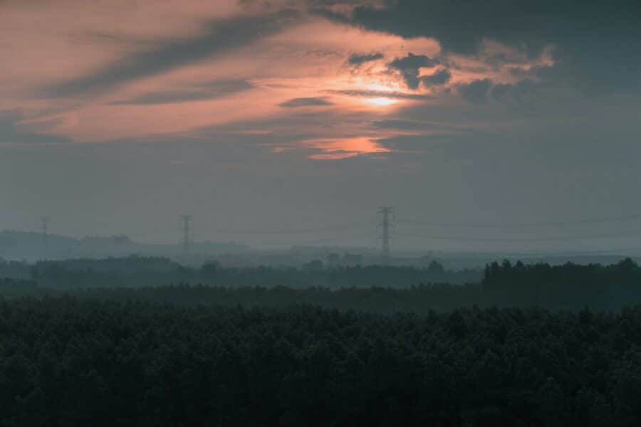 Electricity transmission lines sunset forest