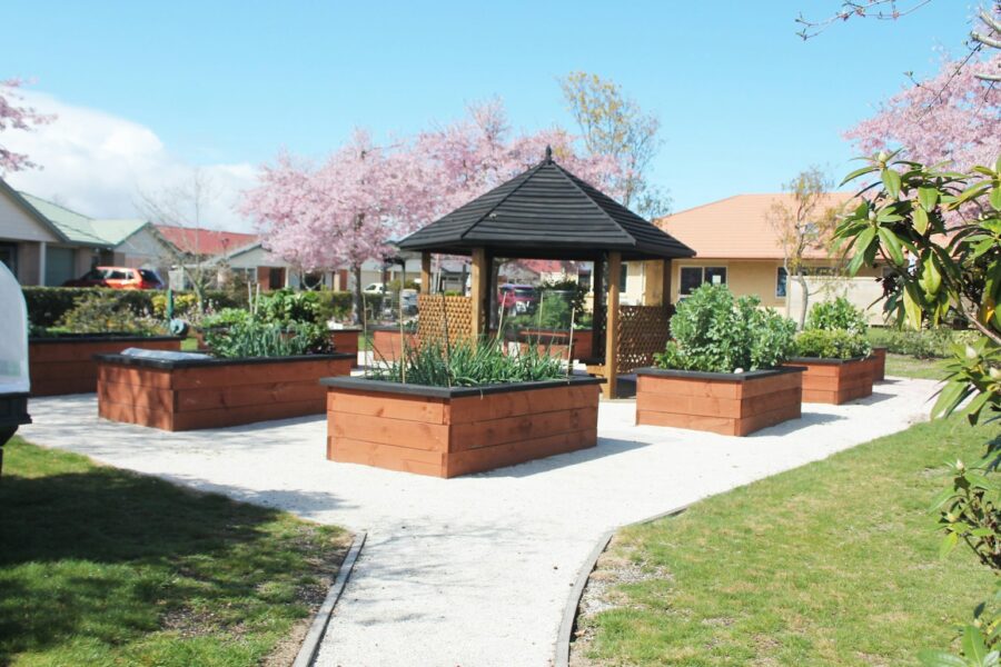 Urban community garden raised beds vegetables