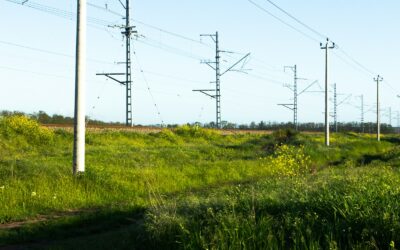 Elektros tinklų požeminimas ir senų linijų keitimas: ką tai reikš sąskaitoms ir patikimumui
