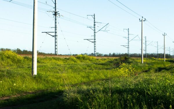 Elektros tinklų požeminimas ir senų linijų keitimas: ką tai reikš sąskaitoms ir patikimumui