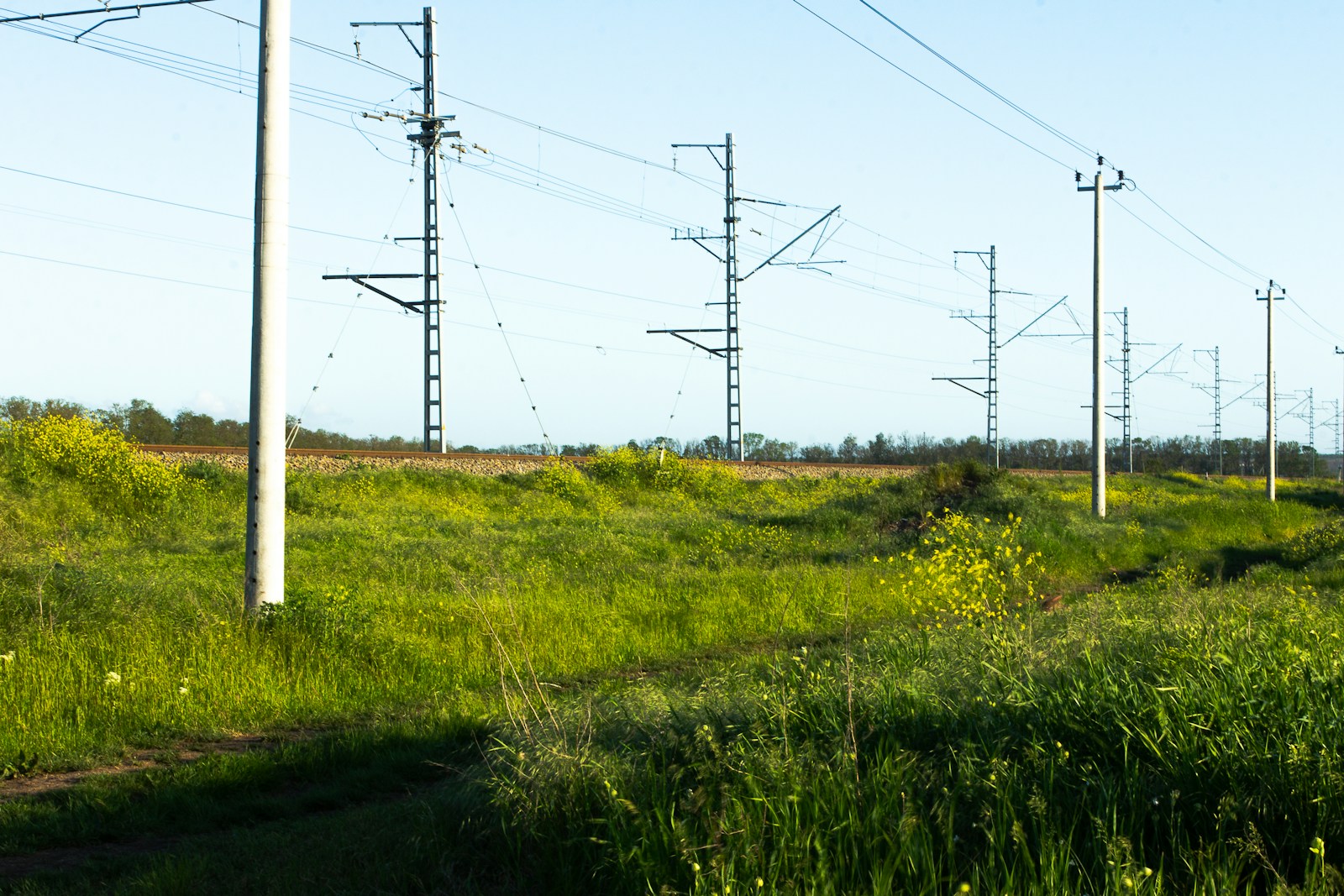 Elektros tinklų požeminimas ir senų linijų keitimas: ką tai reikš sąskaitoms ir patikimumui