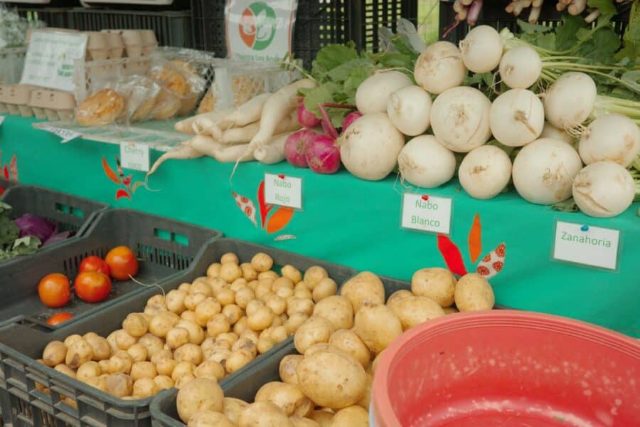 Farmer market stall vegetables cheese