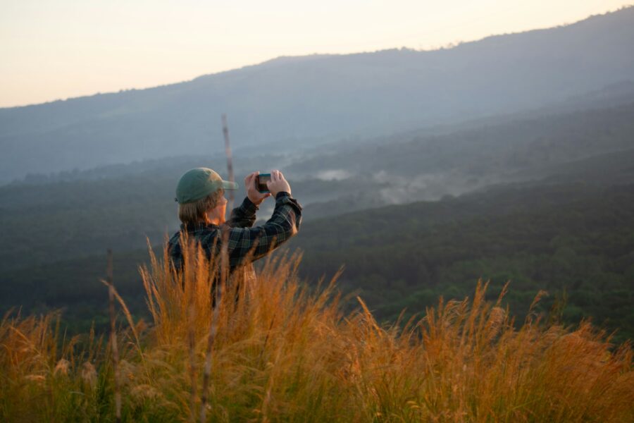 Birdwatching binoculars forest sunrise