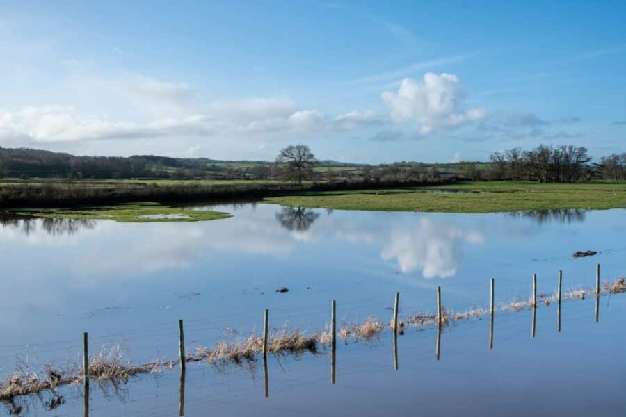 Agricultural drainage ditch flooded field