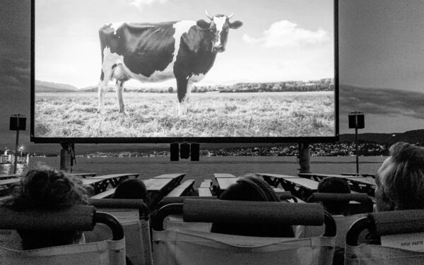 Vasaros kino seansai po atviru dangumi: kaip susiplanuoti vakarą, kad jis būtų tikras poilsis