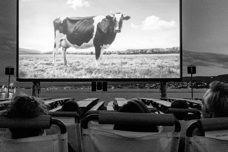 Outdoor cinema summer evening chairs screen