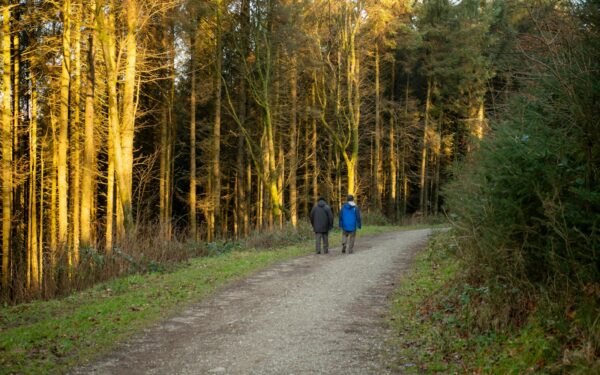 Aktyvūs pasimatymai gamtoje: idėjos poroms, kurios nori judėti, kalbėtis ir patirti daugiau