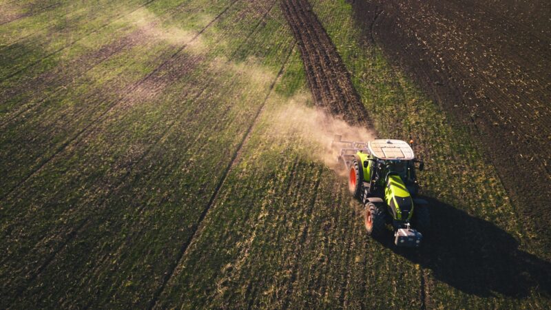 Dirbtinis intelektas žemės ūkyje: kaip DI sprendimai keičia sprendimų priėmimą nuo lauko iki fermos